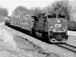 CP 7031